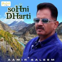 Sohni Dharti Aamir Saleem Song Download Mp3