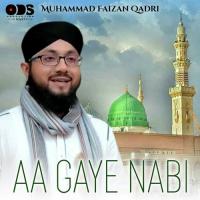 Aa Gaye Nabi Muhammad Faizan Qadri Song Download Mp3