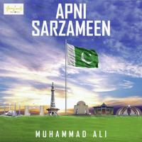 Apni Sarzameen songs mp3