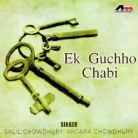 Kono Ek Gayer Bodhu Salil Chowdhury,Antara Chowdhury Song Download Mp3