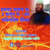 Hajrot Ayesha O Rasul Sa Er Paribarik Jibon Allama Delwar Hossain Sayedee Song Download Mp3
