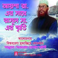 Aysa Ra Er Sathe Rasul Sa Er Sriti Allama Delwar Hossain Saydee Song Download Mp3