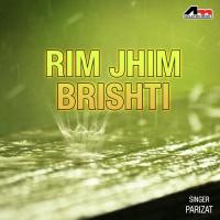 Rim Jhim Brishti songs mp3