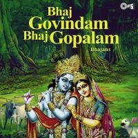 Bhaj Mann Krishna Kanhaiya Anup Jalota Song Download Mp3