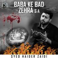 Baba Ke Bad Zehra Syed Haider Zaidi Song Download Mp3