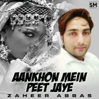 Aankhon Mein Peet Jaye Zaheer Abbas Song Download Mp3