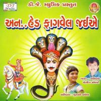 He Fagvel Dhoja Vala Re Shura Chetdeep Solanky Song Download Mp3