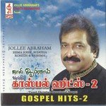 Ullam Anandha Geethathile Jollee Abraham Song Download Mp3