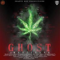 Ghost Of Marijuana Shaan Akash Song Download Mp3