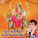 Main Tere Bin Rah Nahi Sakda Narendra Chanchal Song Download Mp3