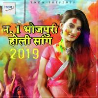 No.1 Bhojpuri Holi Song 2019 songs mp3