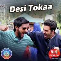 Desi Tokaa Mo Dil Chokha Tarique Aziz Song Download Mp3