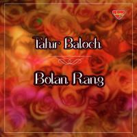Bolan Rang songs mp3