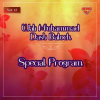 Special Program, Vol. 12 songs mp3