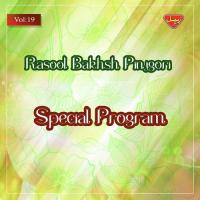 Special Program, Vol. 19 songs mp3