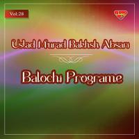 Balochi Programe, Vol. 28 songs mp3