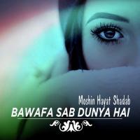 Bawafa Sab Dunya Hai Moshin Hayat Shadab Song Download Mp3