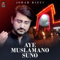 Aye Muslamano Suno Johar Rizvi Song Download Mp3
