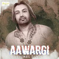 Aawargi Shumail Sabri Song Download Mp3