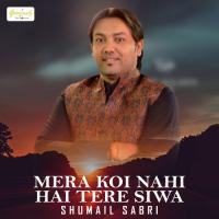 Mera Koi Nahi Hai Tere Siwa songs mp3