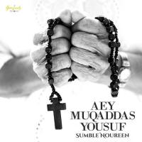 Aey Muqaddas Yousuf songs mp3