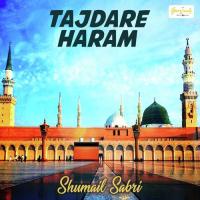 Tajdare Haram songs mp3