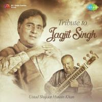 Tribute To Jagjit Singh By Ustad Shujaat Husain Khan songs mp3