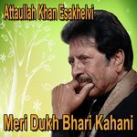Mein Ek Bewafa Naal Attaullah Khan Esakhelvi Song Download Mp3