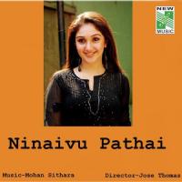 Ninaivu Pathai songs mp3