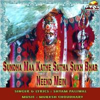 Bheruji Jhina Jhina Re Baje Shyam Paliwal Song Download Mp3
