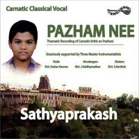 Pazham Nee Sathya Prakash Song Download Mp3
