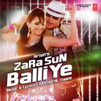 Zara Sun Balliye Krish Song Download Mp3
