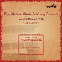 Ragam - Tanam - Pallavi T.N. Seshagopalan Song Download Mp3