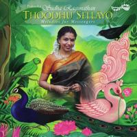 Solluvai Nee Kiliye Sudha Ragunathan Song Download Mp3