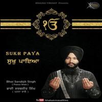 Gobind Hum Aise Apradhi Bhai Sarabjit Singh Song Download Mp3
