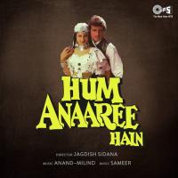 Hum Anaaree Hain songs mp3