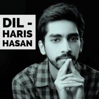 Dil Haris Hasan Song Download Mp3