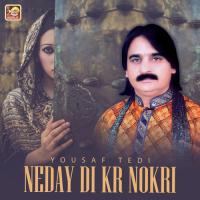 Neday Di Kr Nokri songs mp3