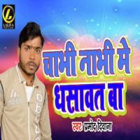 Chabhi Nabhi Me Dhasaveta Ba Pramod Diwana Song Download Mp3