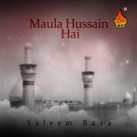 Maula Hussain Hai songs mp3