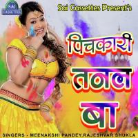 Pichkari Tanal Ba songs mp3