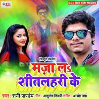 Aa Jaiha Shitlahari Me Sunny Pandey Song Download Mp3