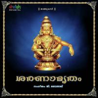 Evideyellam Vaisakh G Song Download Mp3