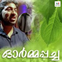 Ormapacha Vineeth Sreenivasan Song Download Mp3