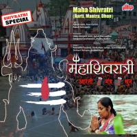 Om Namo Shiv Shankara (Marathi Aarti) Shrikant Narayan Song Download Mp3