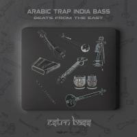 Desi Diaspora (Tumbi Mix) Estrn Bass,BtheLick Song Download Mp3