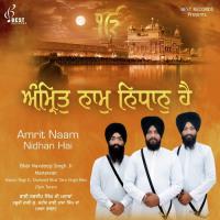 Sun Sun Jeeva Teri Bani Bhai Navdeep Singh Ji Manawan Song Download Mp3