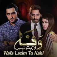 Wafa Lazim To Nahi Ameer Ali,Beena Khan Song Download Mp3
