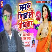 Lamhar Pichkari Chokhdar Vikash Virappan,Palak Pandey Song Download Mp3