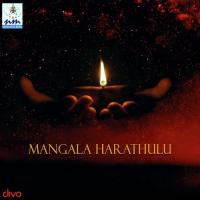 Om Lakshmi Namamyaham Vijalakshmi Sarma,Srivardhini,Gopika Poornima,B. Ramana Song Download Mp3
